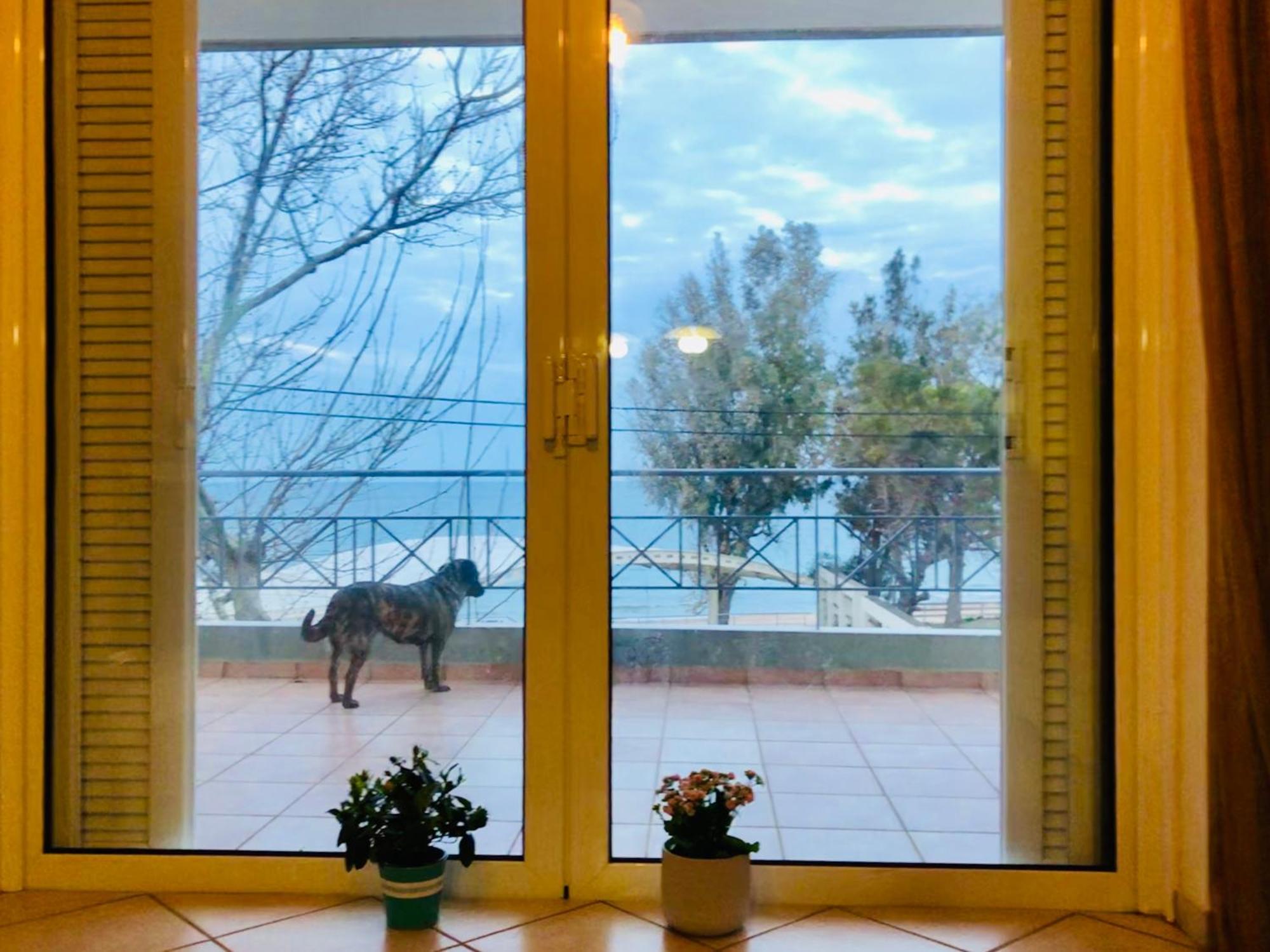 Chloe'S Sunrise Beach House Villa Athens Luaran gambar